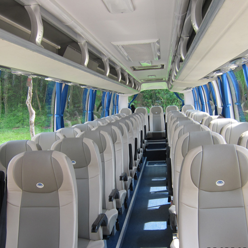45 seater school bus rental